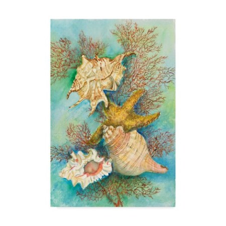 Trademark Fine Art Joanne Porter 'Shells In The Deep Green Sea' Canvas Art, 16x24 ALI30536-C1624GG